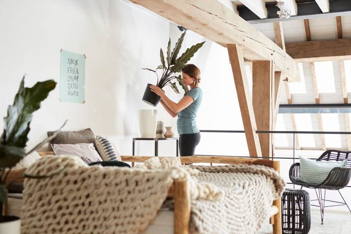 brussels diamond haut easy insert 27cm living noir